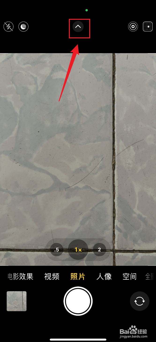 iPhone 16相机如何成冷调玫瑰色摄影风格