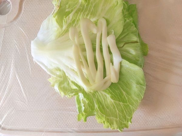 低脂蔬菜三明治