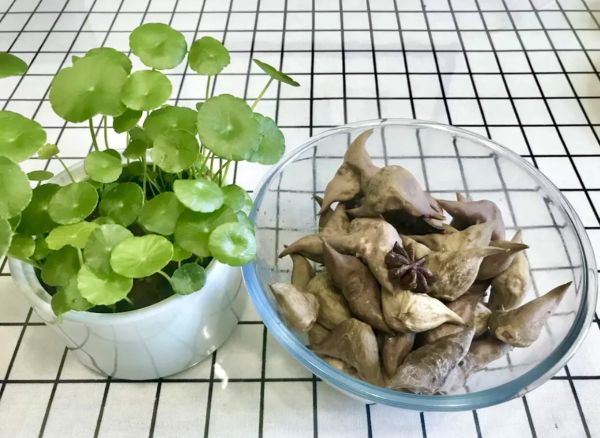 可以当菜也可以当零食