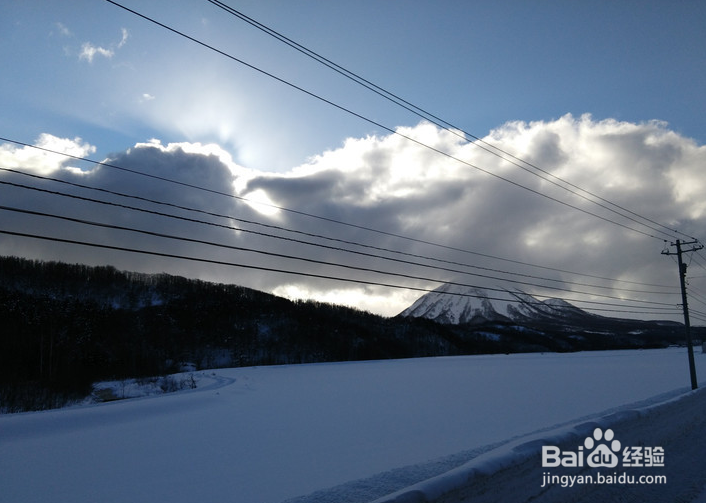 一条性价比爆棚的万元以下日本北海道观雪路线