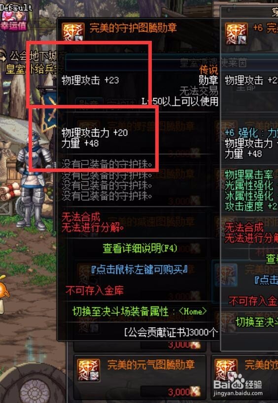 dnf武极勋章及守护珠选择攻略介绍。