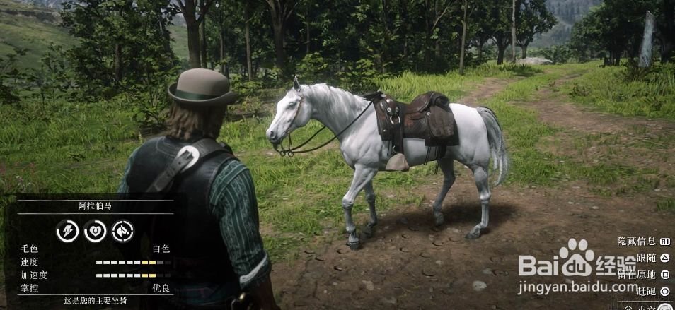 荒野大镖客2画质设置