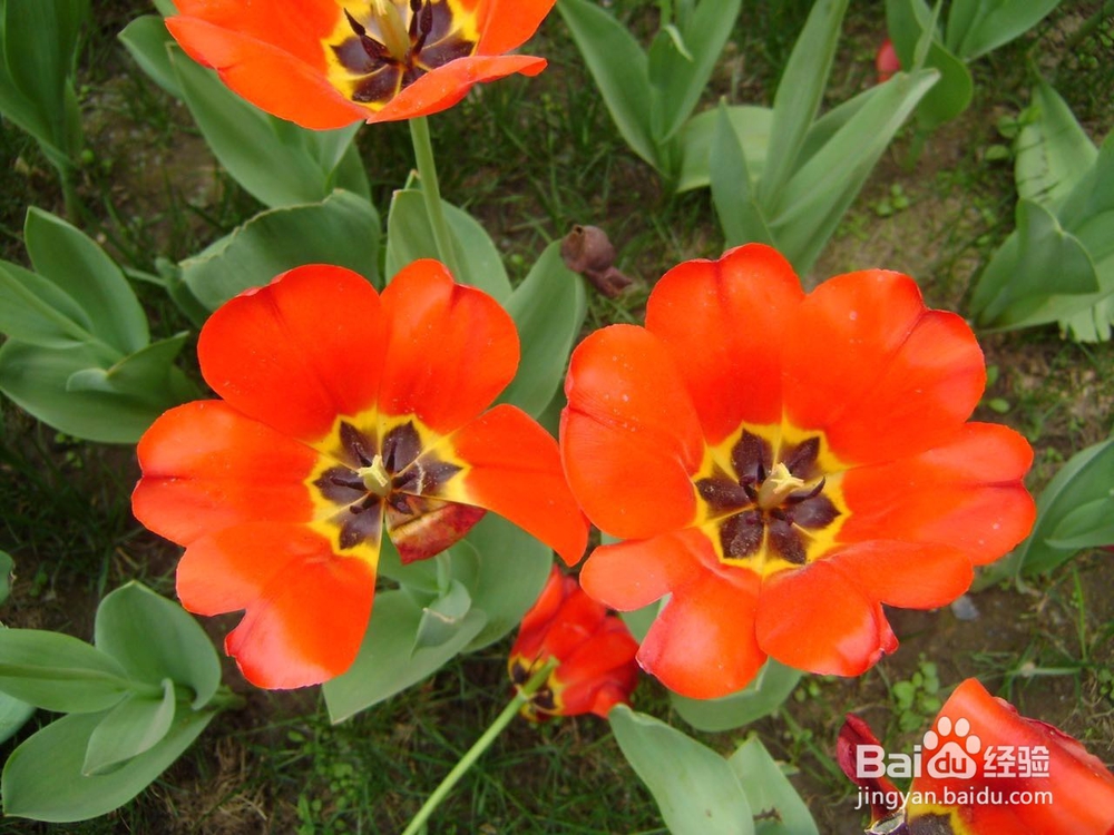 Plank运动从2分钟到13分钟