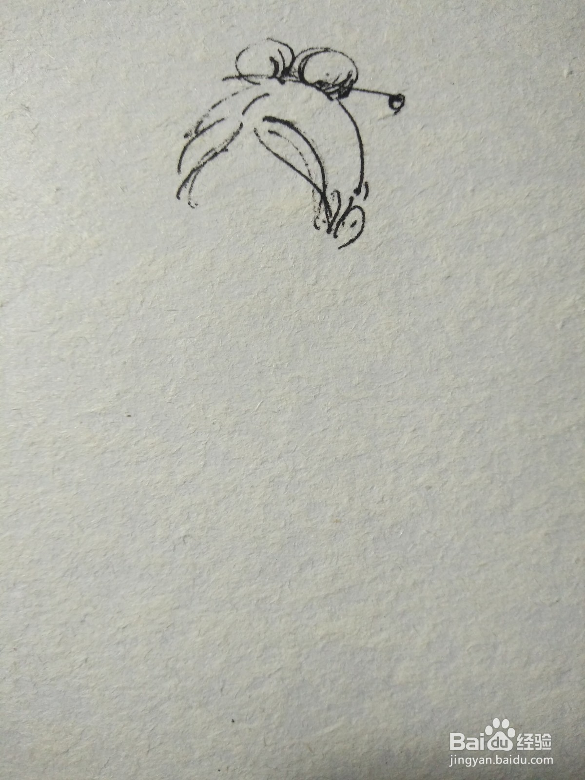 白蛇传小青简笔画