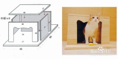 给猫做个小屋 Diy 百度经验