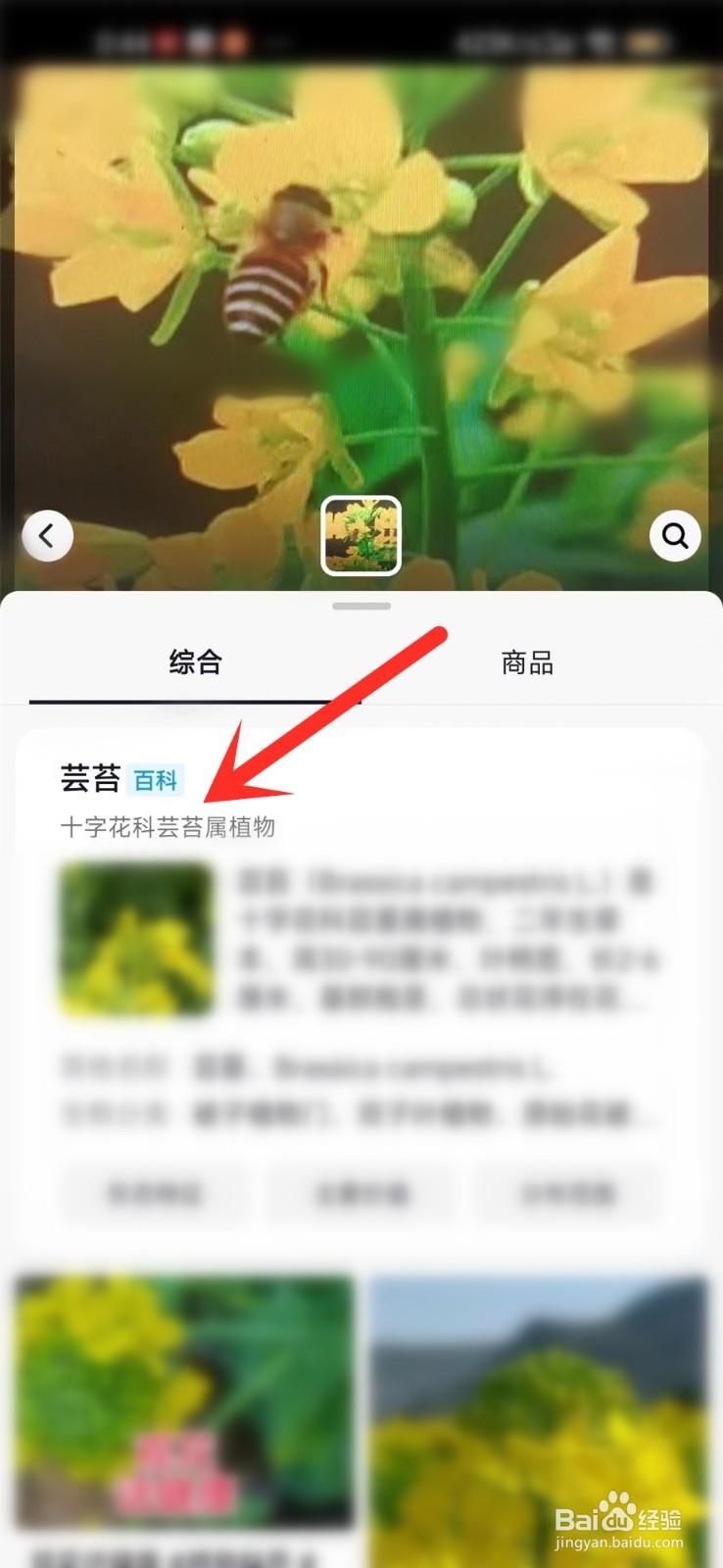 抖音识别物品怎么弄