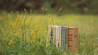 怎样学英语不费劲？