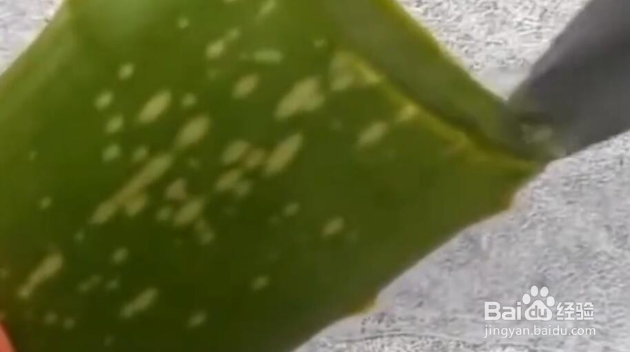如何使用芦荟胶的隐藏功能