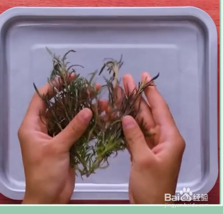 如何掌握食物保鲜小技巧？