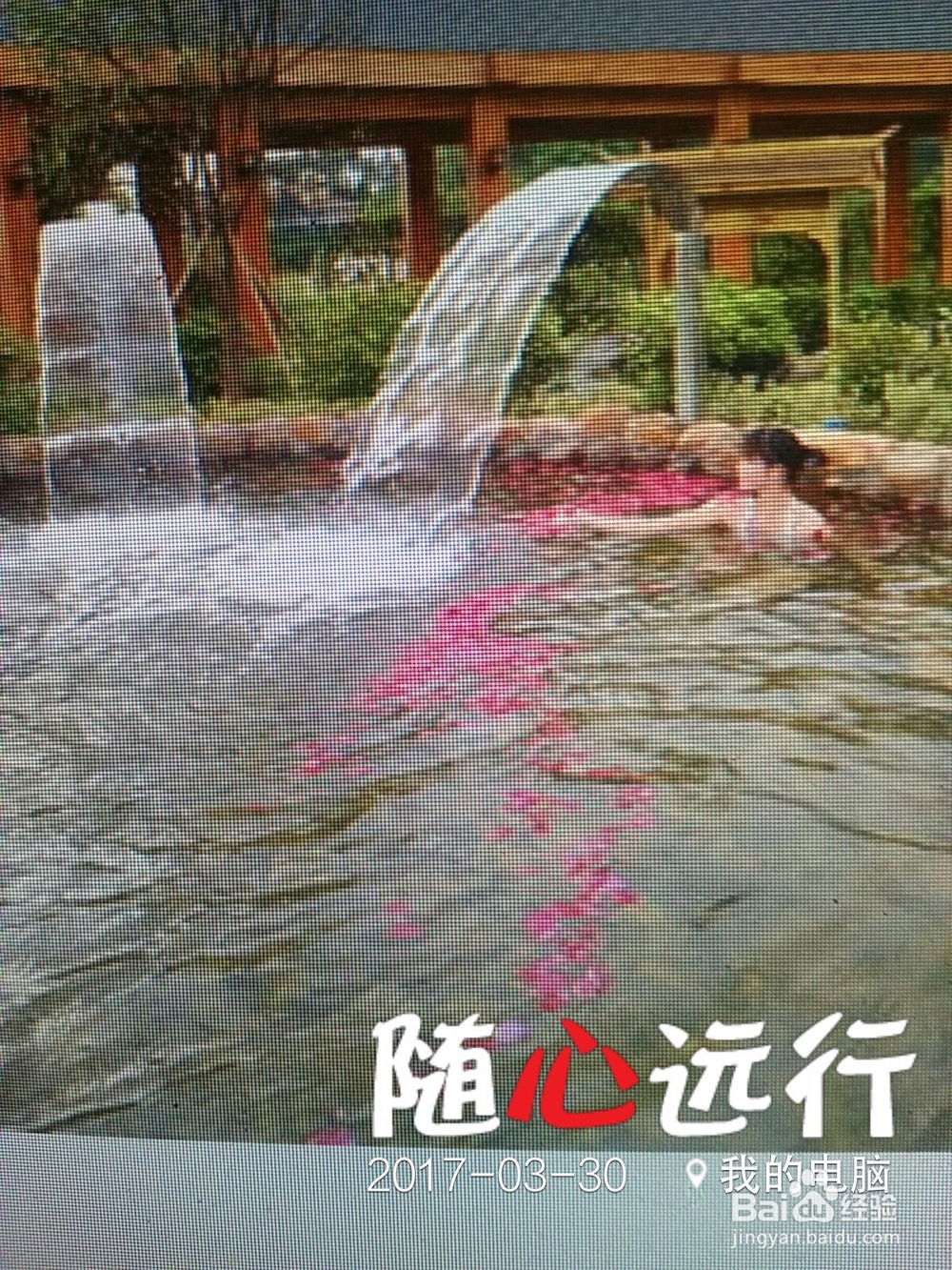 宁乡紫龙湾温泉度假区自助游攻略
