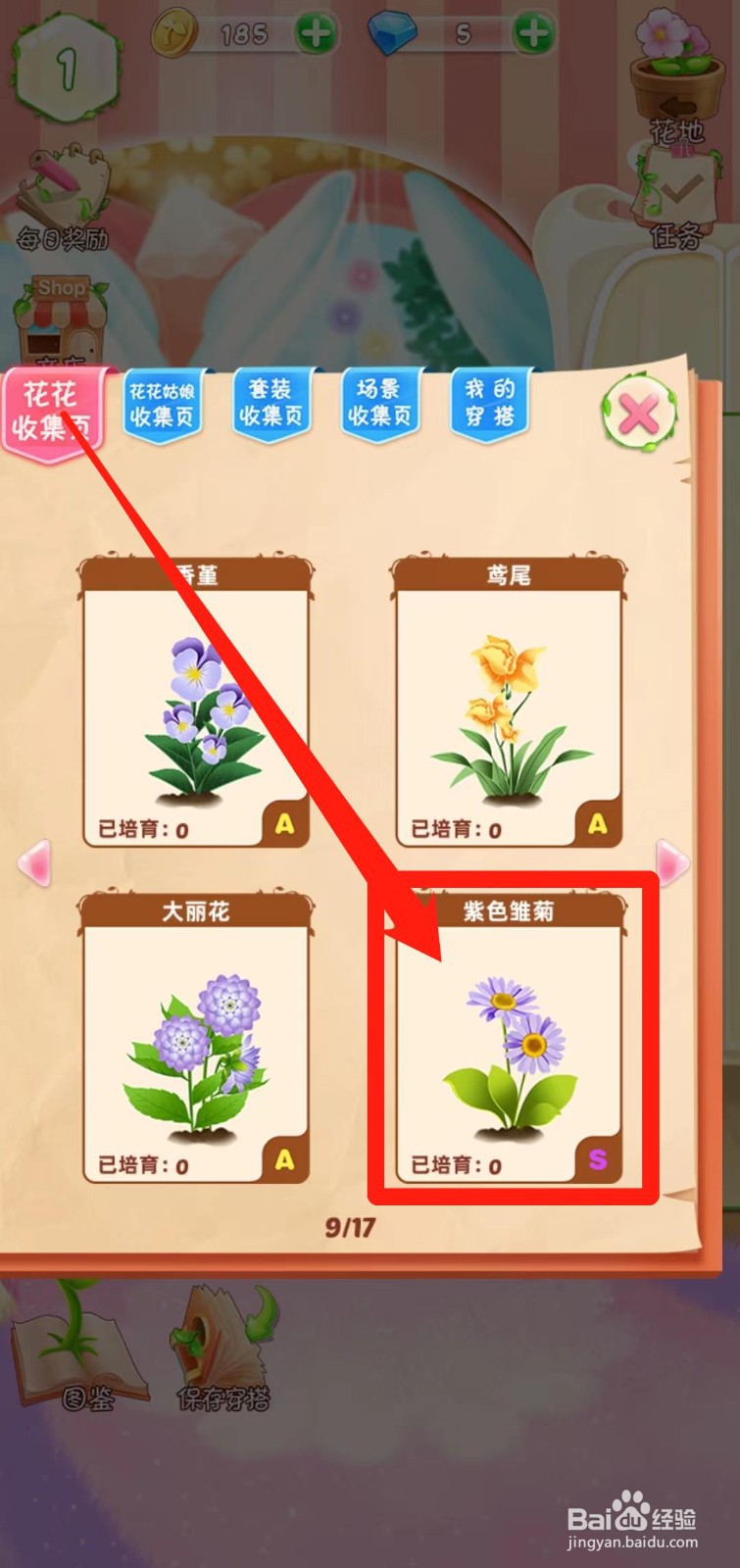 花花姑娘之魔法花园如何查看紫色雏菊简介