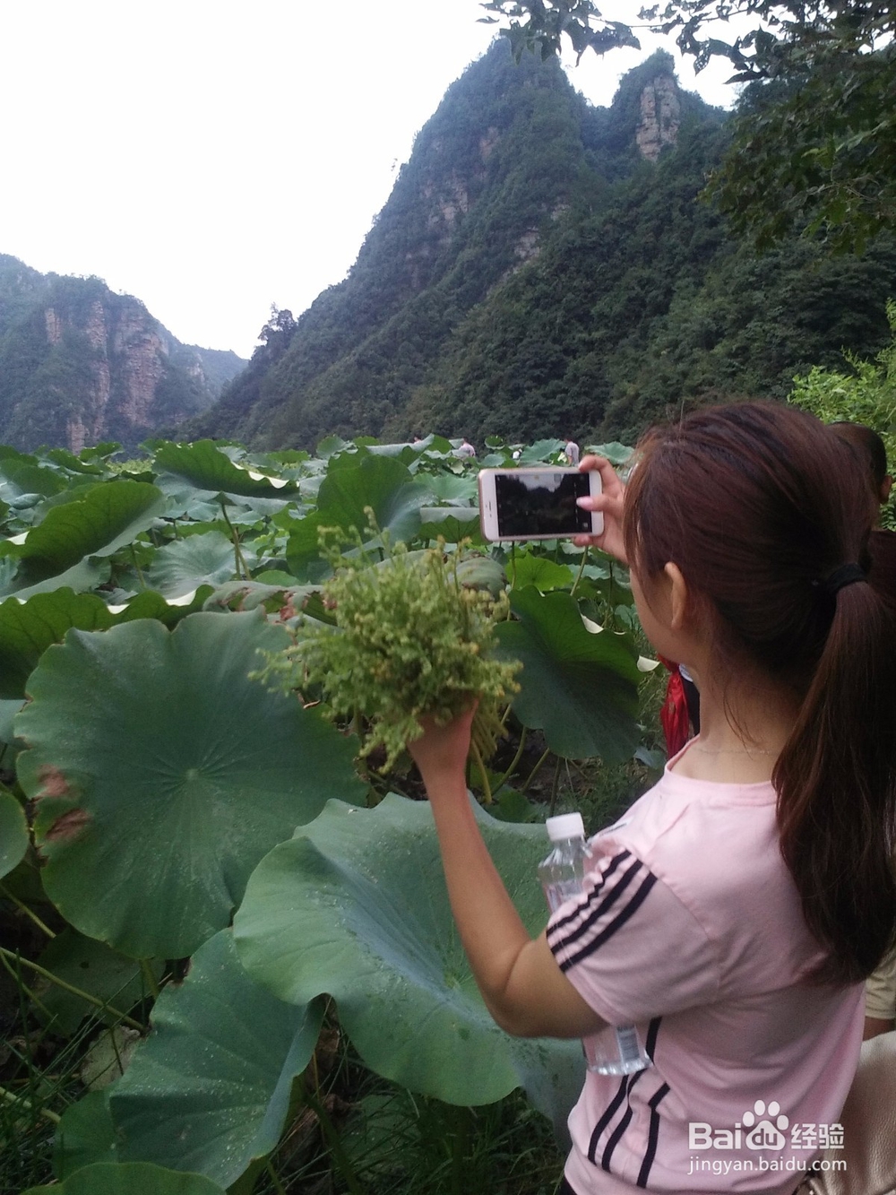 槟榔谷与驻马溪一日游