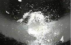 食补养生红烧冬瓜的做法