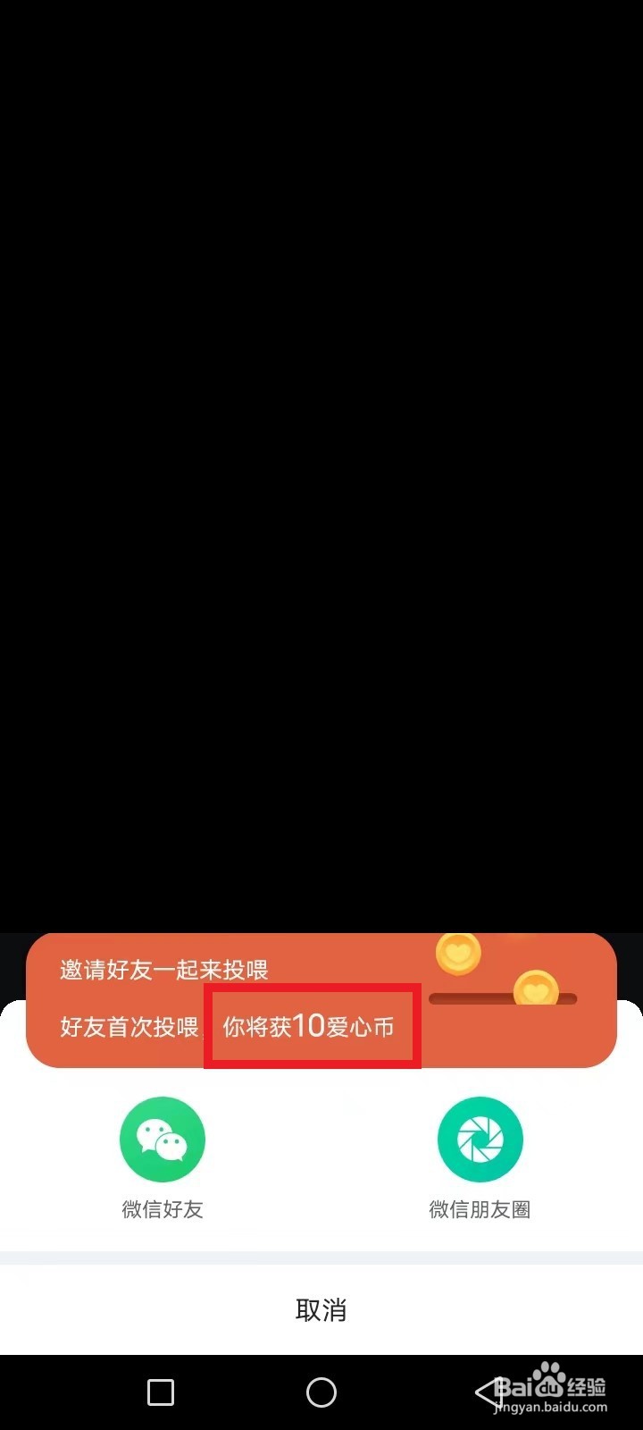 哈啰街猫如何盈利