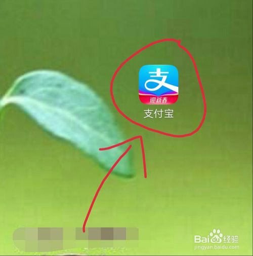 支付宝怎么开通花呗