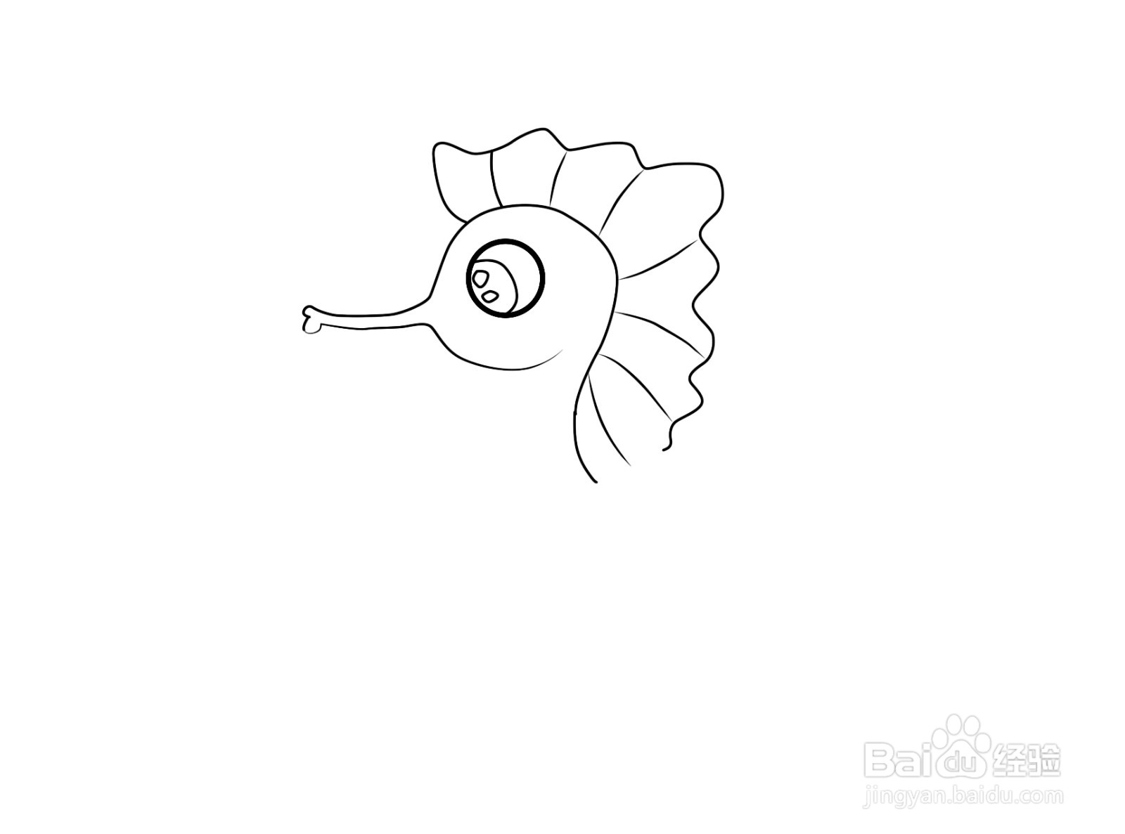 简笔画海马