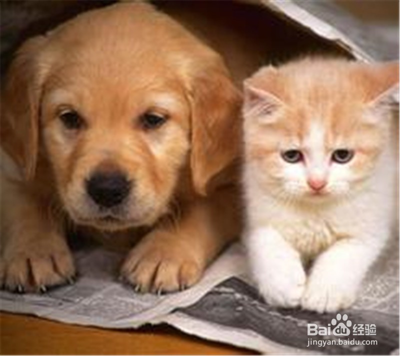 健康生活24条,你做到了多少