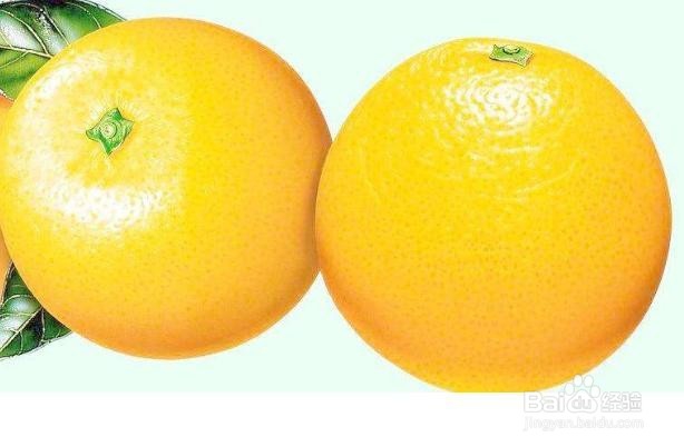 夏季食物如何保鲜比较好