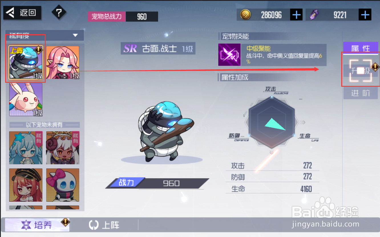 黑月手游怎么培养宠物