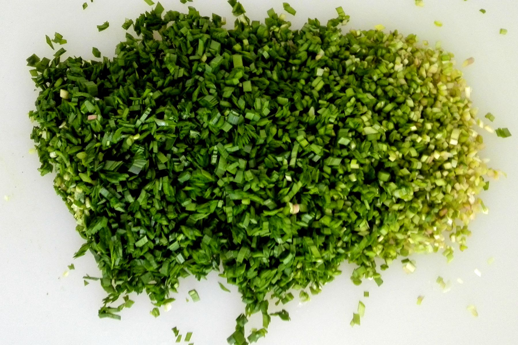 皮皮虾饺子大放送！不要舔屏幕哦！