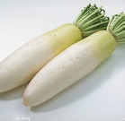 如何让蔬菜保存新鲜