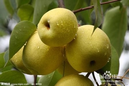 冬天如何正确补充水分冬天怎么补水最好