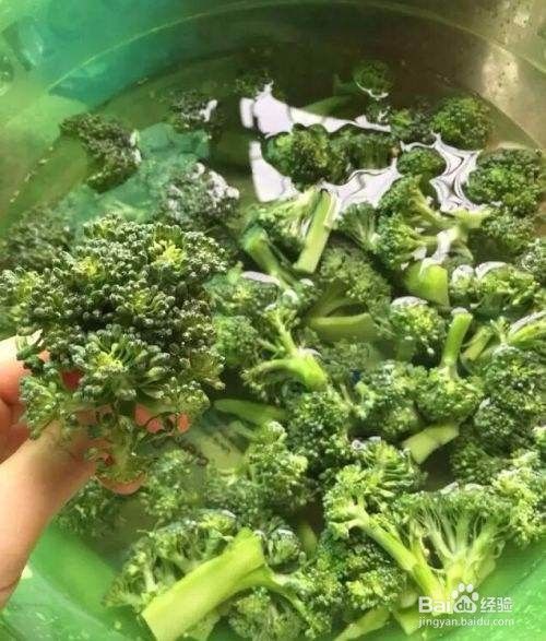 西兰花怎么洗才干净 百度经验 西兰花怎么洗才干净 百度经验