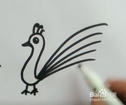 怎样简笔画孔雀