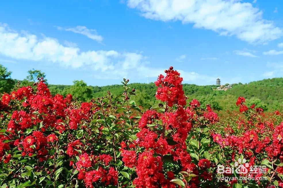 乐游山水,双山香山双节全攻略!