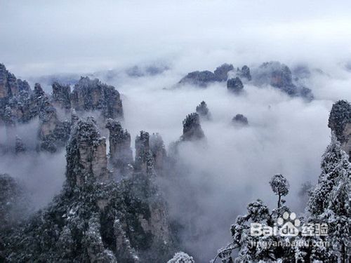 张家界旅游攻略—最详细实用的必备资料