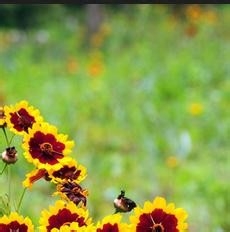 监理施工要点48