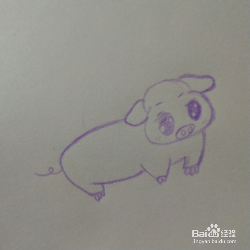 2019年简笔画紫色猪怎么画