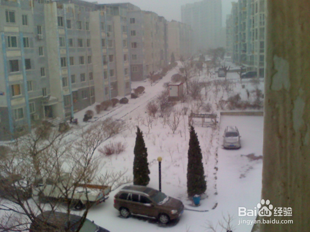 怎样告诉孩子安全出行---43