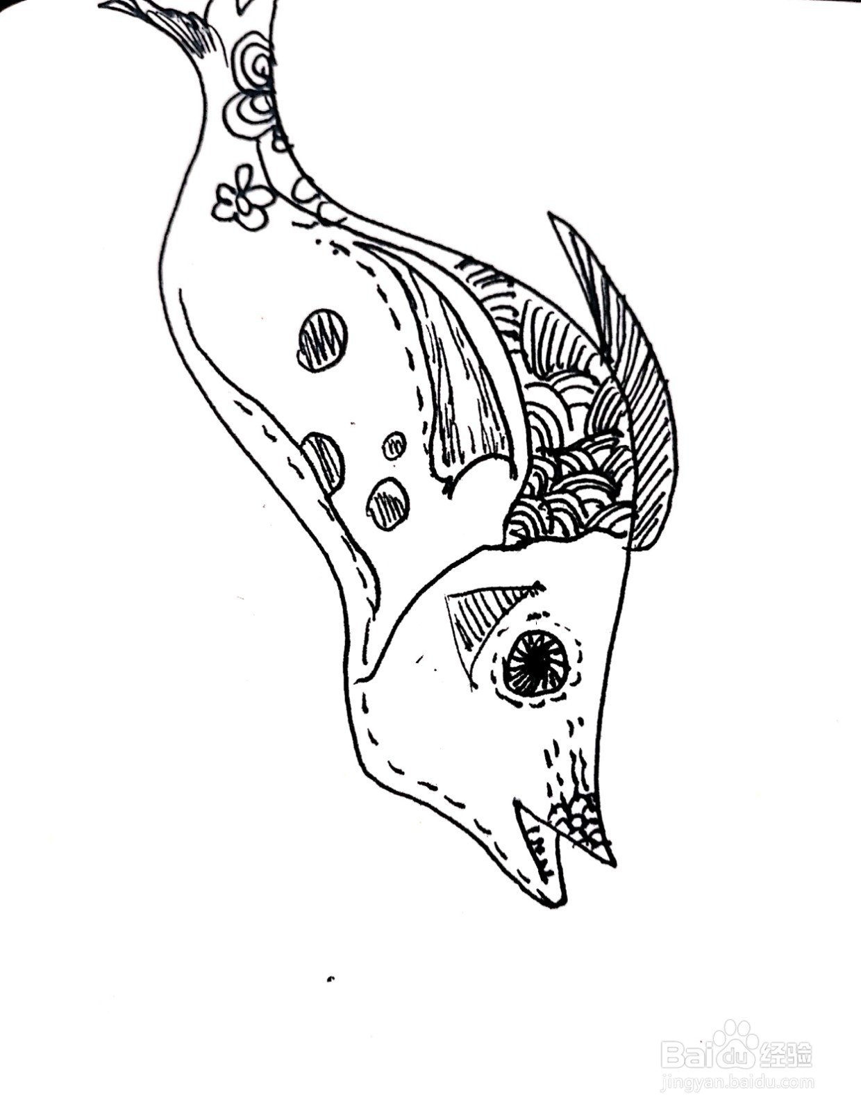 鲢鱼线描画怎么画