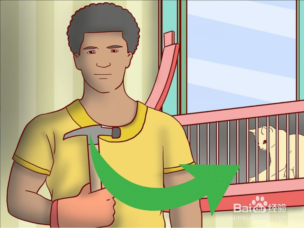 教你如何一只小猫开始养和注意事项有哪些?