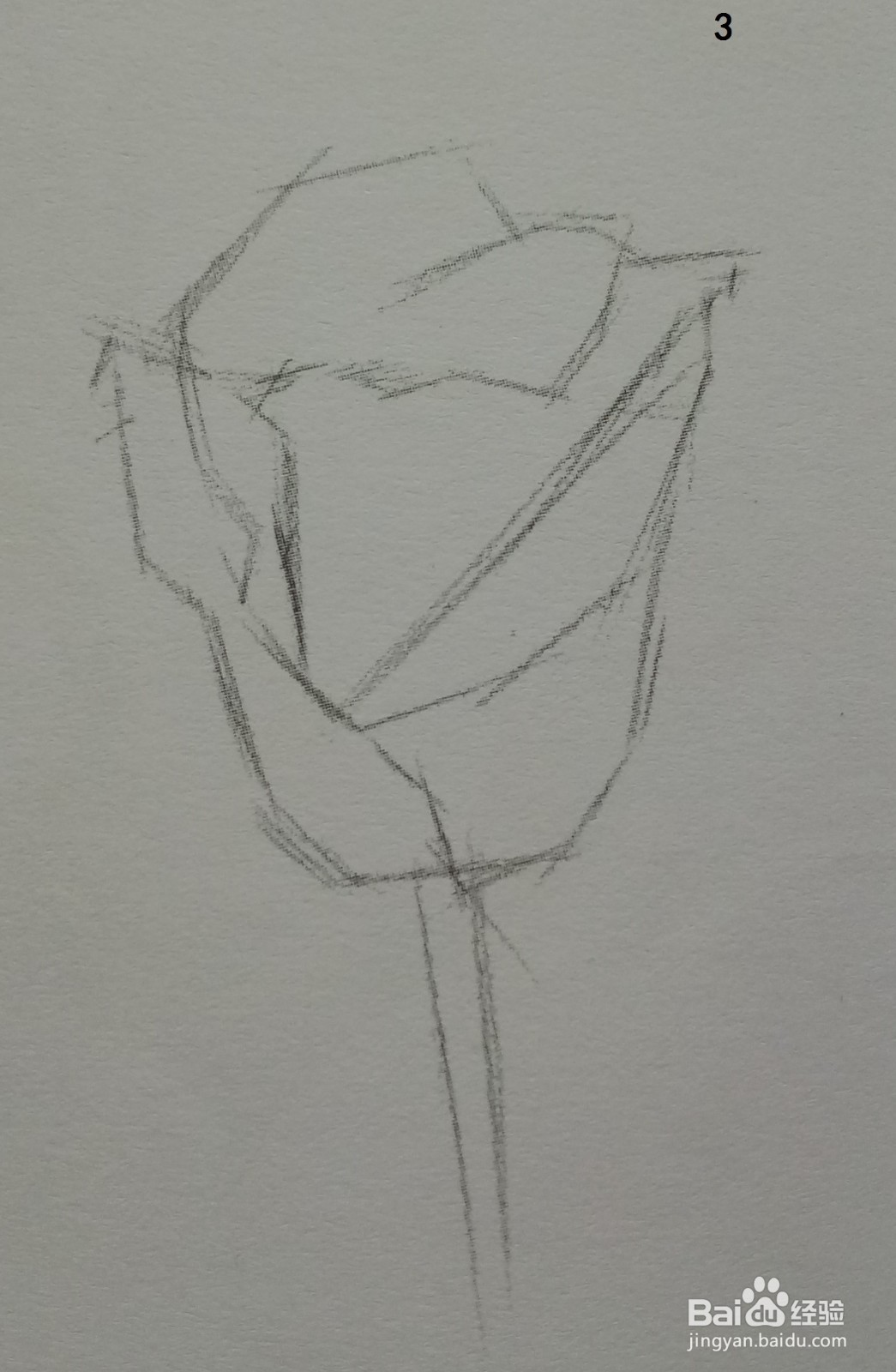 色铅笔画一朵红玫瑰(素描进阶)