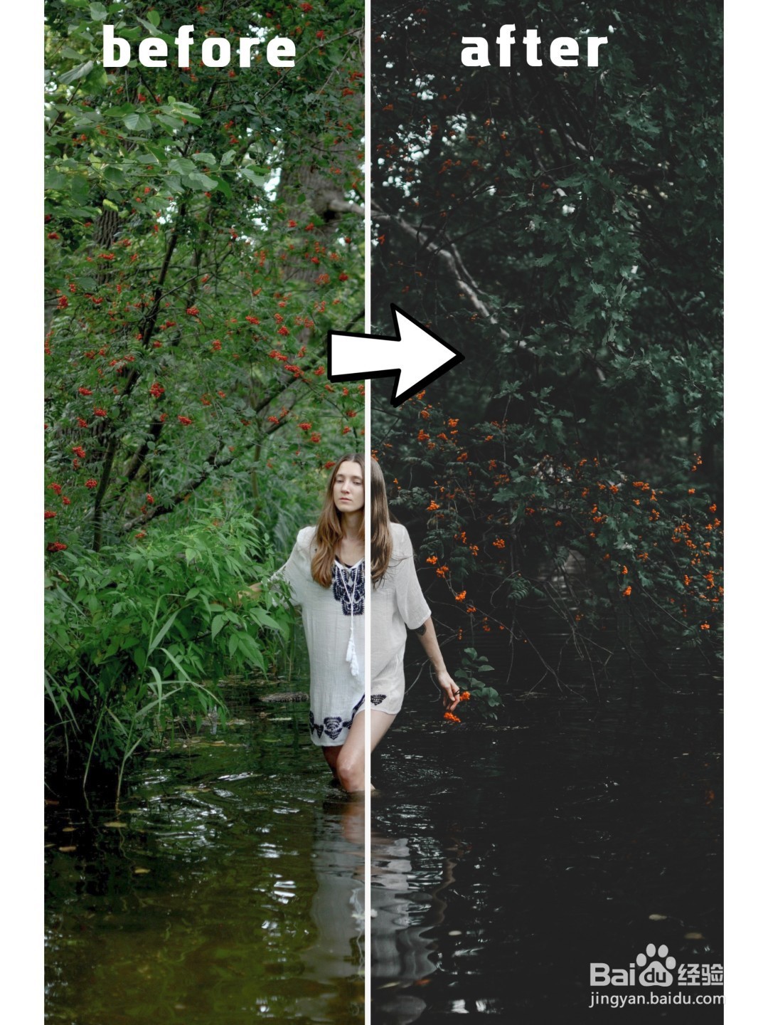 PS调色教程|如何调出ins上的暗绿色调