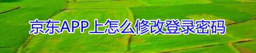 京东APP上怎么修改登录密码
