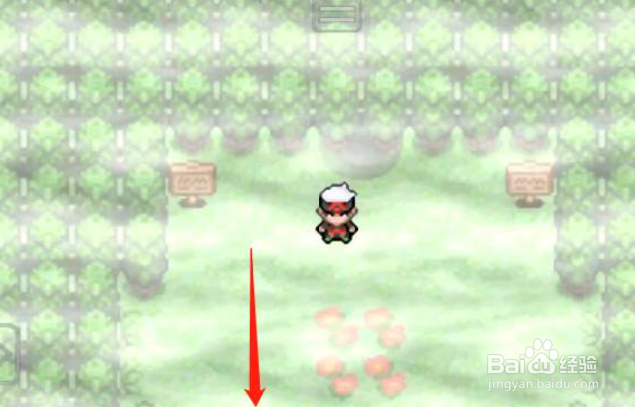 究极绿宝石5迷途之森怎么走