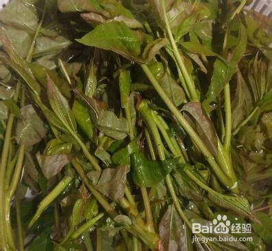 美味可口香椿鸡蛋煎饼的家常做法