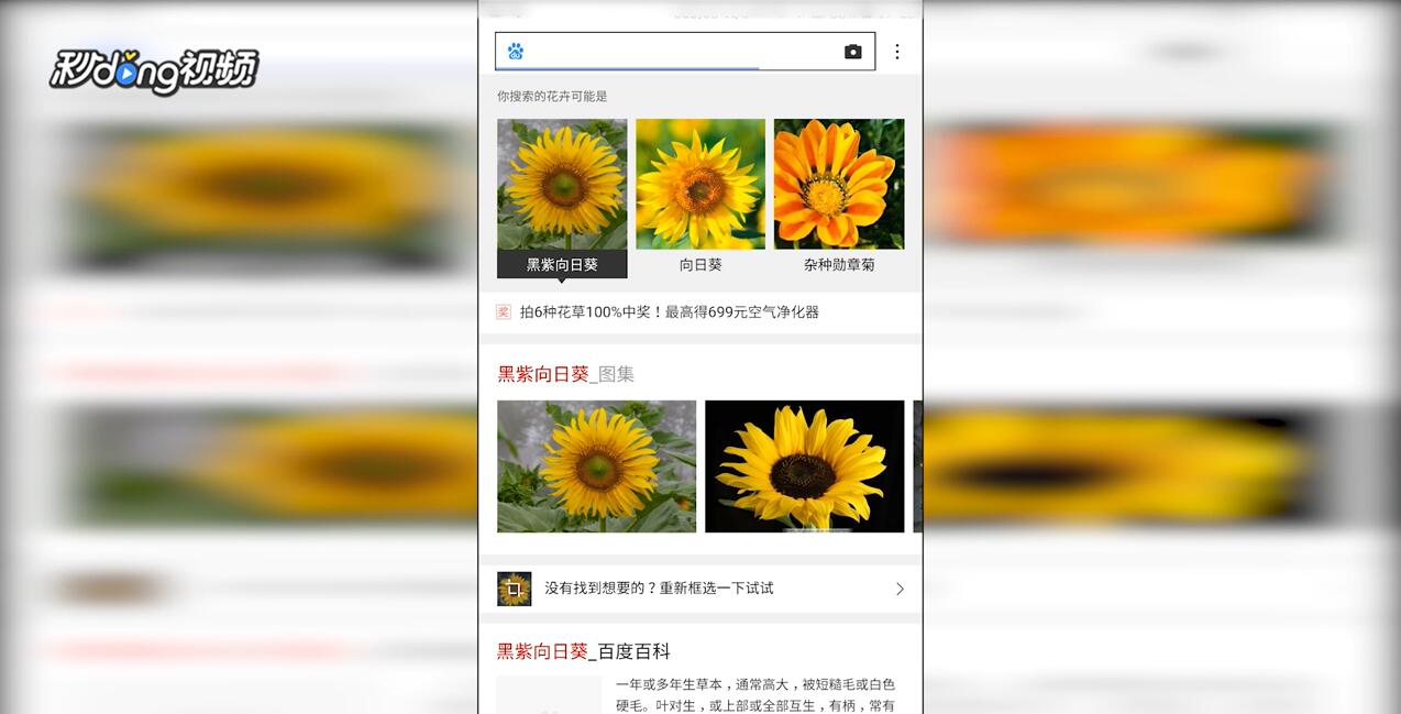 百度app中如何查看图片搜索案例展示
