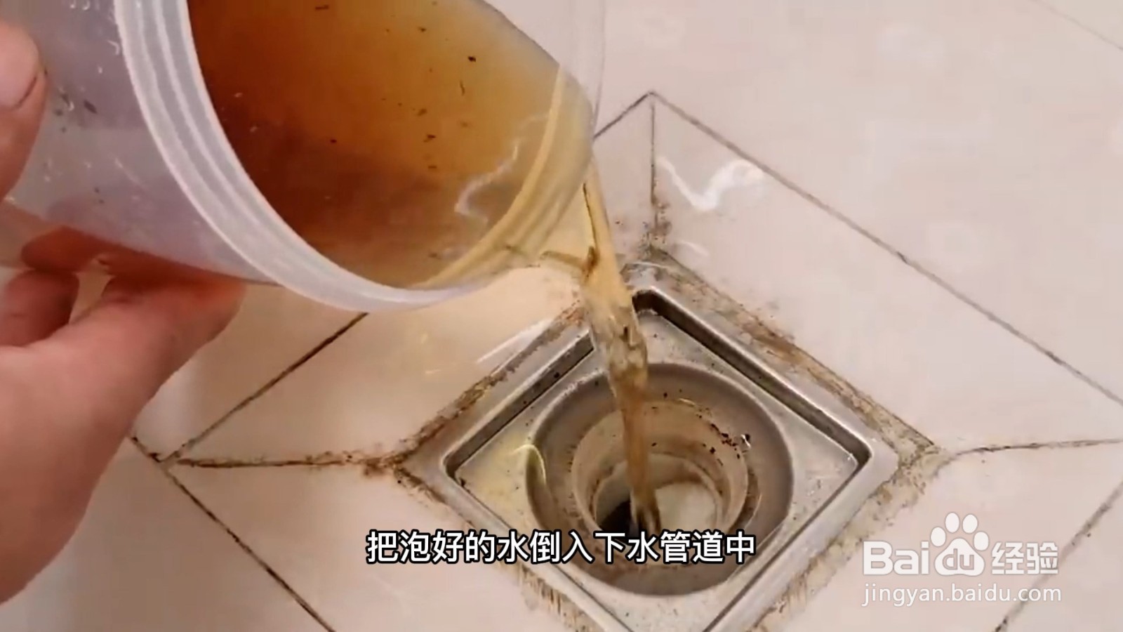 房间里有小飞虫怎么去除