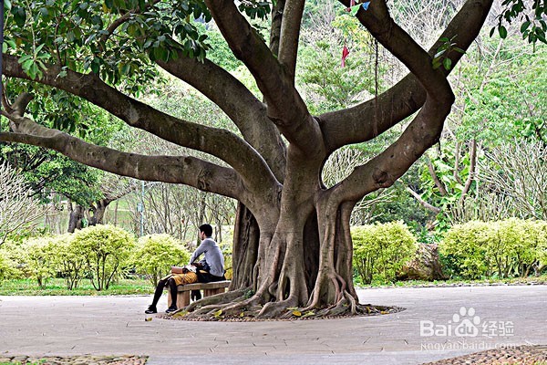 在户外怎么规避雷电灾害?