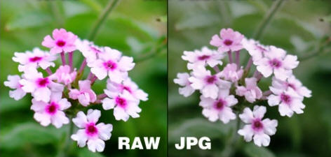 小有小的好——数码相机选购八项注意