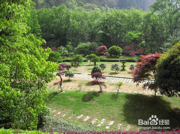 十一张家界自驾游攻略