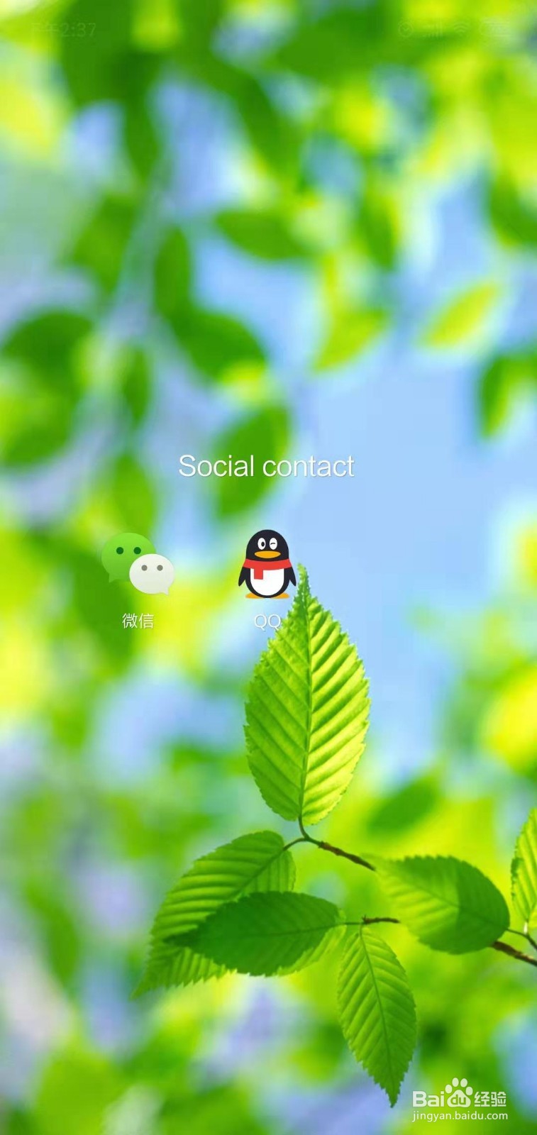 如何在微信上查询汽车违章信息?