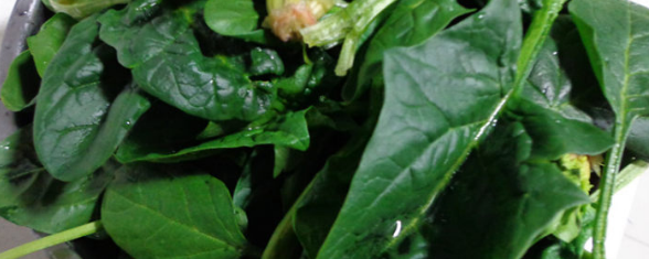 家常美味菠菜拌粉丝