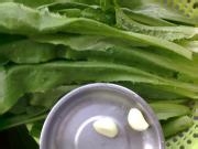 美味蒜蓉油麦菜做法