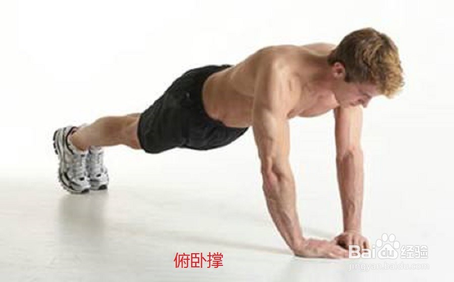 男士怎样练腹肌