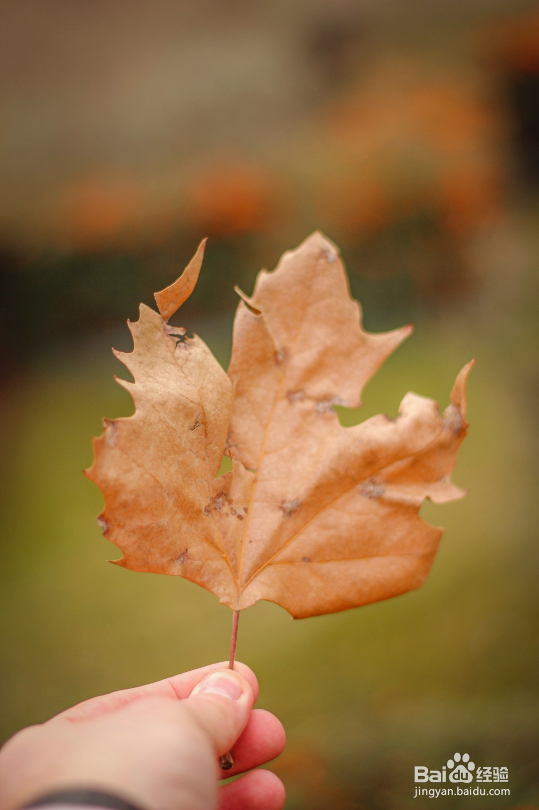 如何问女生的名字显得幽默